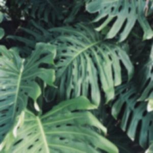 Meet your Posher, Ellen